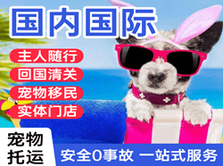 长水机场物流国际宠物托运 【国